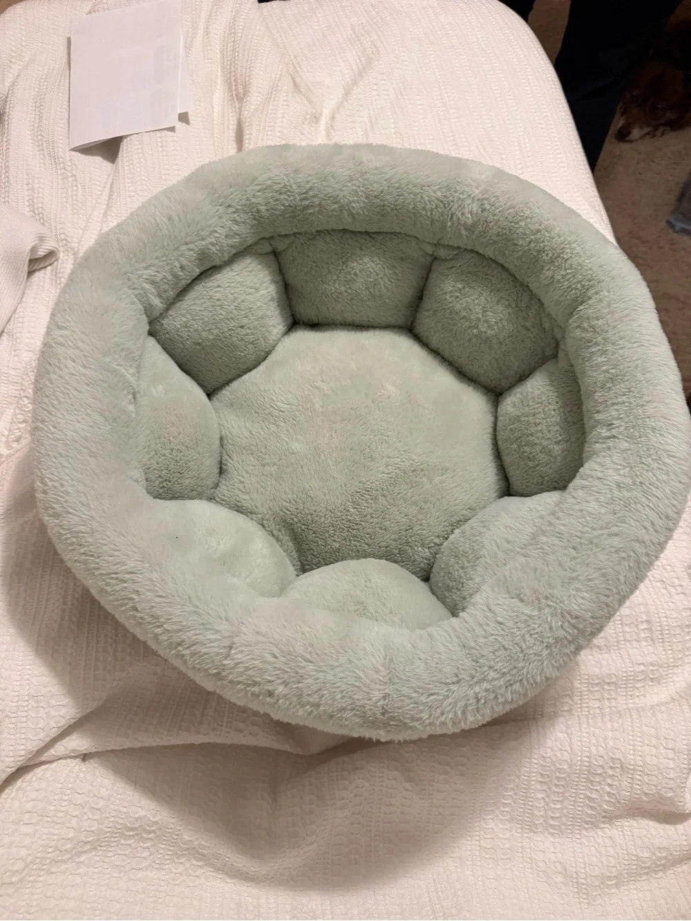 Martha Stewart Plush Round Pet Bed in Pale Green